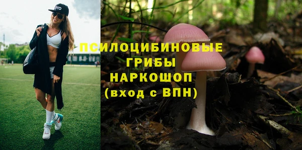 эйфоретик Протвино